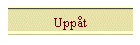 Upp�t